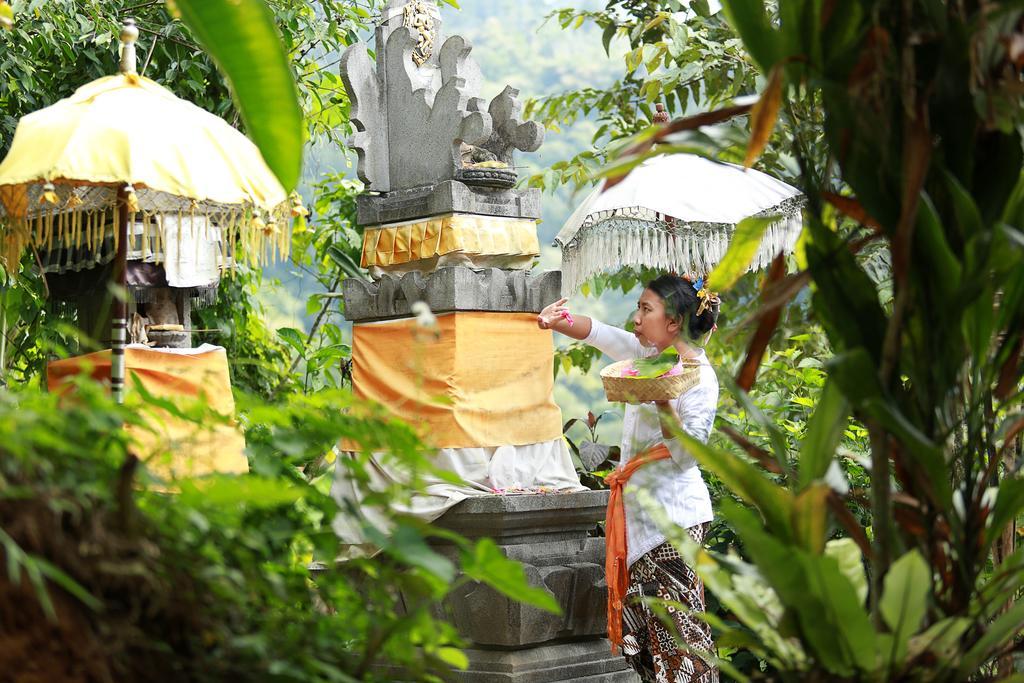 Sang Giri Mountain Tent By Ahm