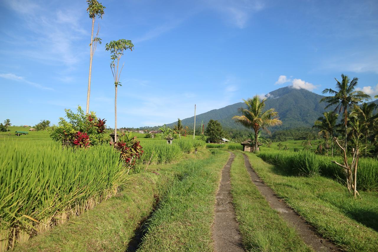 Sang Giri Mountain Tent By Ahm 3* Jatiluwih