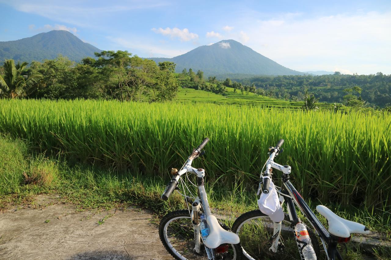 Sang Giri Mountain Tent By Ahm Jatiluwih